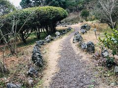 -汉拿树木园
