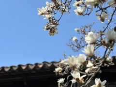 -耦园