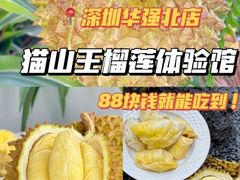 -开皇马来西亚榴莲美食店(华强北店)