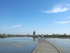-盐城丹顶鹤湿地生态旅游区