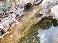 -桃花岭景区
