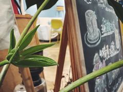 -琥珀川咖啡馆·Amber cafe(百祥路店)