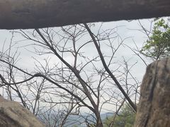 -大屏嶂森林公园