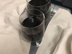 -西沃古尔·拉姆古兰爵士国际机场