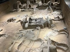 -洛阳周王城天子驾六博物馆