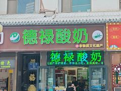 -德禄酸奶(莫家街店)