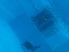 -上海潜殿潜水中心