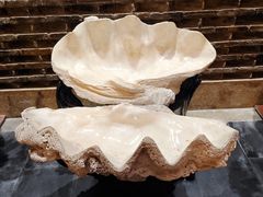 -健眺小海鲜(临海后山店)