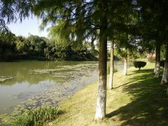 -艾溪湖湿地公园