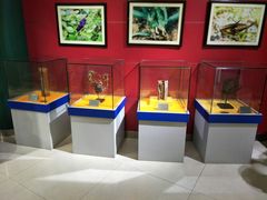 -上海昆虫博物馆