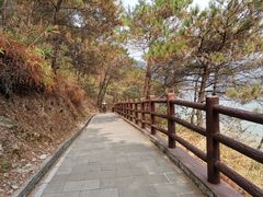 -羚羊峡古栈道森林公园