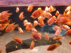 -常州海昌海洋探索馆