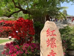 -红螺寺