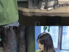 -猫猫幼稚园·撸猫·桌游·电玩