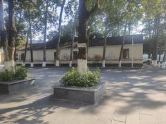 -东莞市大岭山森林公园