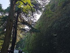 -紫金山山顶公园