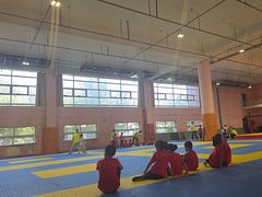 -武术世家少儿培训中心(首都体育学院店)
