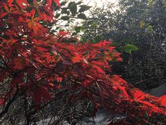 -紫金山天文台