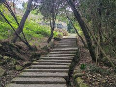 景点-大罗山风景区
