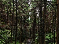 -上色见熊野座神社