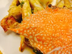 -Red Lobster