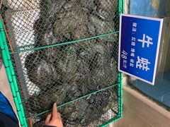 -双井轩(双井店)