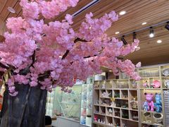 -陶语手工·拼豆·陶艺·银饰diy(宽厚里店)