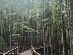 -青山湖景区