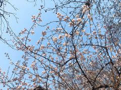 -曲阜师范大学(曲阜校区)