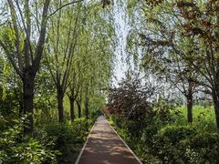 -永定河休闲森林公园