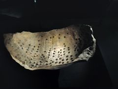 -金沙遗址博物馆