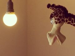 iphone_upload_pic-长颈鹿咖啡(大学路店)