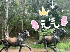 -元大都城垣遗址公园