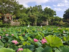 -广州莲花山旅游区