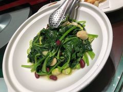 鲜蚕豆煮有机菠菜-九十九顶毡房(阜石路店)