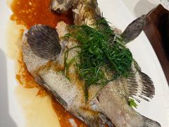 -金苑海鲜酒家(来魅力店)