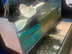 -蛙太牛牛肉海鲜自助火锅(台江万达店)
