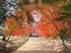 -醍醐寺