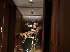 -揽季锅物会.福建黄鱼.海鲜姿造(五四路店)