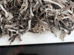 -何记羊汤馆(丽水佳源店)