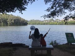 -三水森林公园