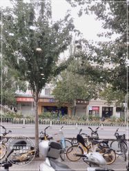 -LJOY丽锦造型·烫发染发