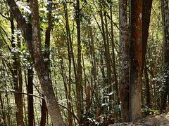 -梁野山景区