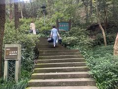 -宋宴(虎跑店)