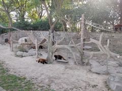 -上海野生动物园