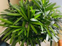 -木子塘汗蒸生活馆(财富港店)