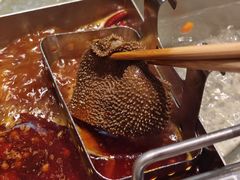 -海底捞火锅(河东万达广场店)