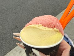-Dip in Gelato(富民路店)