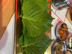 -杨记齐齐哈尔烤肉(总店)