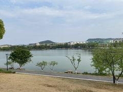 -羊山湖公园